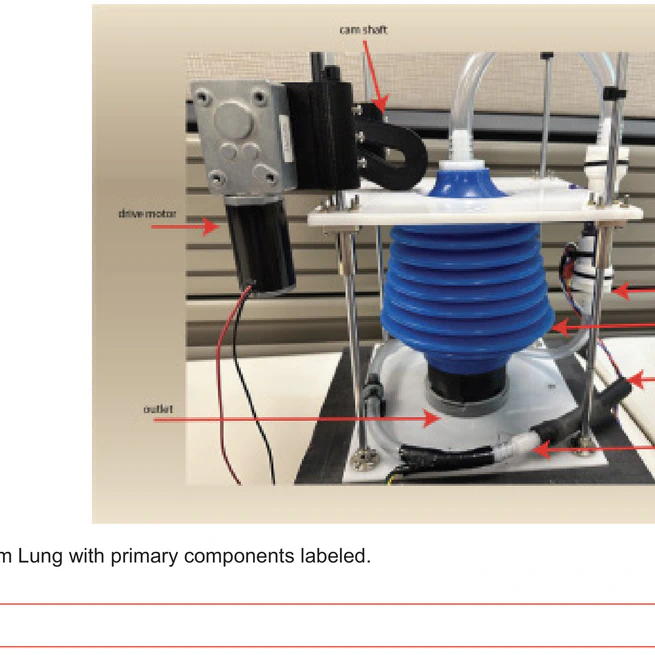 Phantom Puffs: A Phantom Lung to Emulate Smoking Behavior